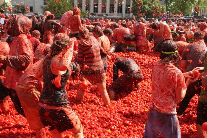 Lễ hội cà chua La Tomatina thú vị với sắc đỏ đặc trưng tại Tây Ban Nha 2