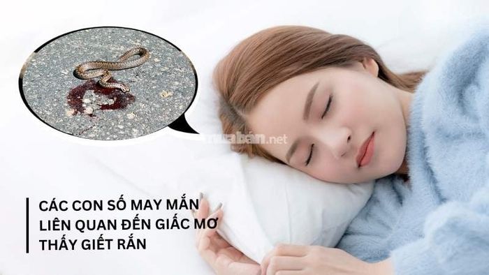 Những con số may mắn liên quan đến giấc mơ giết rắn có thể mang đến cho bạn những cơ hội mới. Hãy tham khảo danh sách sau để biết thêm chi tiết về các con số này.