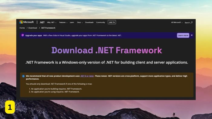 Sửa lỗi 0xc00007b bằng cách cài đặt lại Microsoft .NET Framework - bước 1