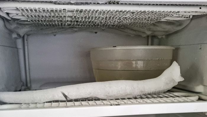 Cách khắc phục tình trạng tủ lạnh bị đóng tuyết