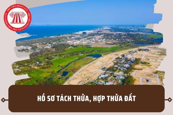 Hồ sơ yêu cầu tách hoặc hợp thửa đất bao gồm những gì? Mẫu Đơn đề nghị tách hoặc hợp thửa đất hiện hành có hình thức như thế nào?