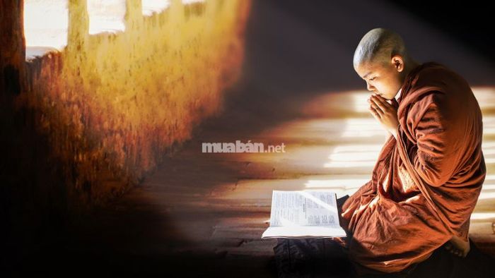 Sám hối oan gia trái chủ