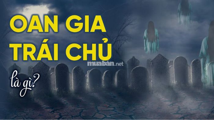 Oan gia trái chủ