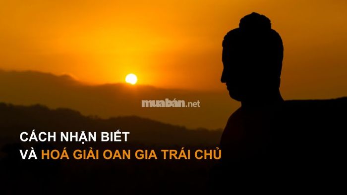 Phương pháp hóa giải oan gia trái chủ