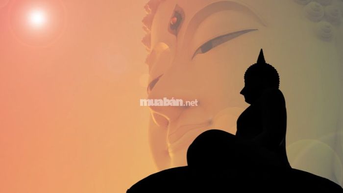 Khi nào oan gia trái chủ báo oán