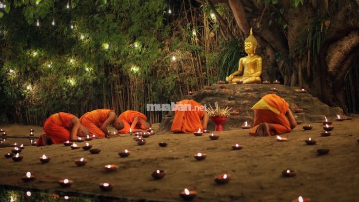 Cách hoá giải oan gia trái chủ