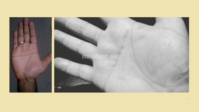 Đối với nam giới, nếu có đường chỉ tay ngang, điều này cho thấy họ sở hữu một bàn tay đầy may mắn.