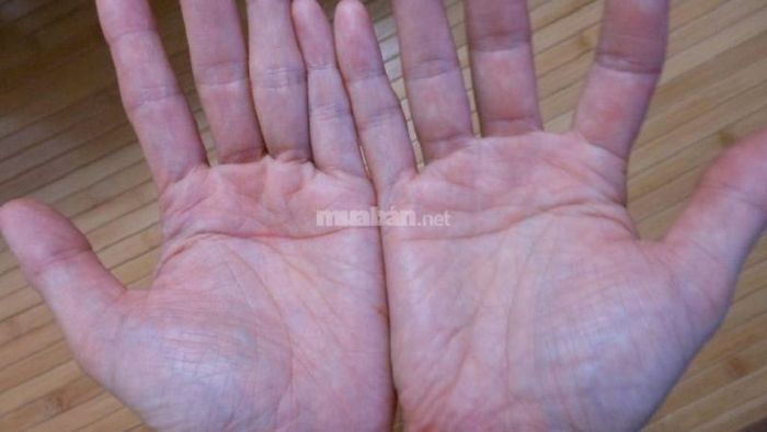 Nam giới có đường chỉ tay ngang xuất hiện ở cả hai bàn tay mang đến những dự đoán tích cực về cuộc sống và thành công vượt bậc.