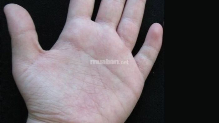 Đường chỉ tay ngang ở nam giới là sự kết hợp của đường Trí Đạo và Tâm Đạo, tạo thành một đường chính nằm ngang.