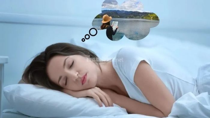 Mơ thấy đi du lịch mang ý nghĩa gì? Giải mã giấc mơ và những con số may mắn cần biết