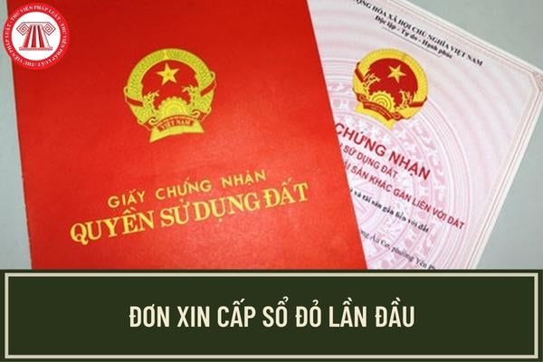 Mẫu đơn xin cấp sổ đỏ lần đầu tại Văn phòng đăng ký quyền sử dụng đất cấp tỉnh năm 2023 hiện nay như thế nào?