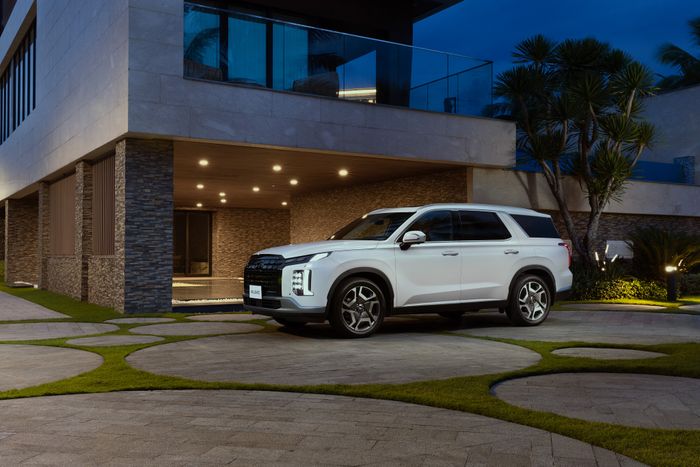 Hyundai Palisade - 2.jpg