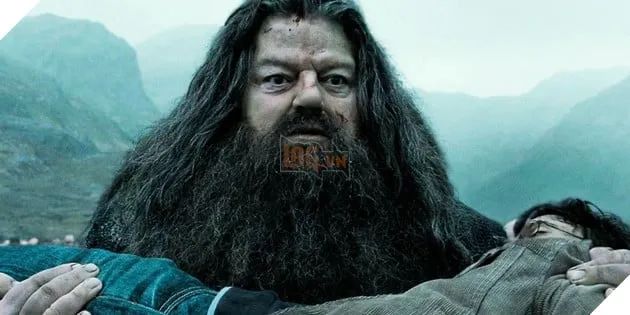Dự án truyền hình Harry Potter đã xác định được người thủ vai Hagrid, sẵn sàng cho hành trình mới trong thế giới phù thủy.