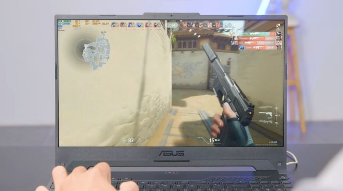 Laptop Asus TUF Gaming FX517ZE i5 (HN045W) - CS:GO