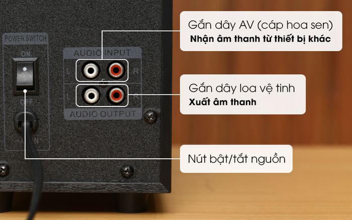 Kết nối loa dễ dàng với thiết bị phát nhạc và loa vệ tinh - Loa vi tính 2.1 Enkor E50 Đen