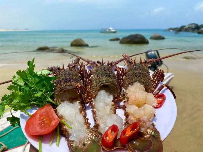 Khám phá bãi biển Đề Gi: Đắm mình trong vẻ đẹp hoang sơ của biển Quy Nhơn 8