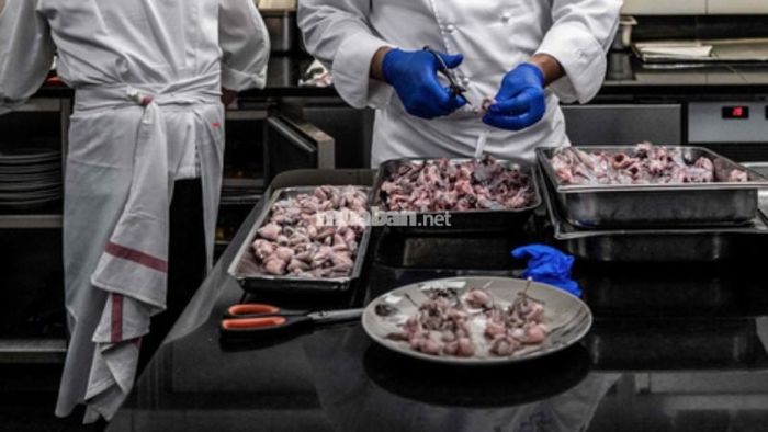 Mơ thấy giết hoặc ăn ếch: Vượt qua thử thách nhưng có thể mất mát điều gì đó