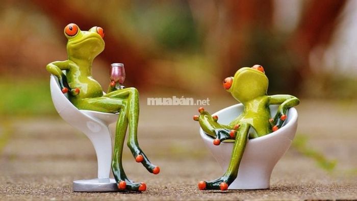 Mơ thấy ếch nói chuyện hoặc hát: Cuộc sống đang trở nên ổn định và may mắn sẽ sớm đến với bạn.