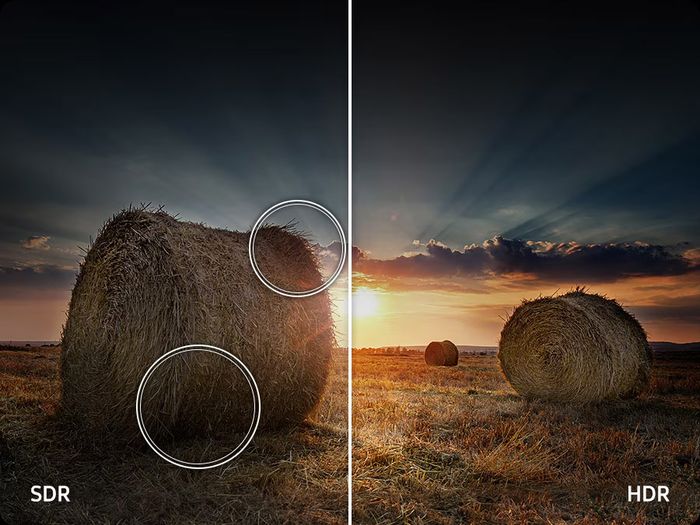 Công nghệ Quantum HDR Tivi Samsung QLED 4K Vision AI 50 Inch QA50Q7FA