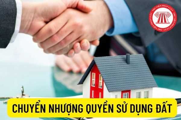 Chuyển nhượng quyền sử dụng đất