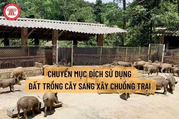 Liệu việc chuyển mục đích sử dụng đất trồng cây lâu năm sang xây dựng chuồng trại chăn nuôi và đất ở có yêu cầu xin phép hay không?