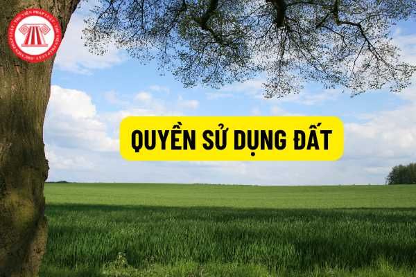 Quy trình vay thế chấp sổ đỏ tại ngân hàng là như thế nào?