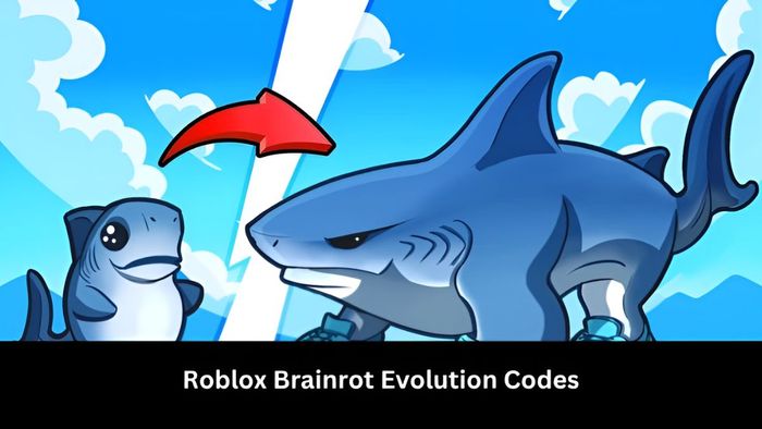 Code Brainrot Evolution mới nhất năm 2025