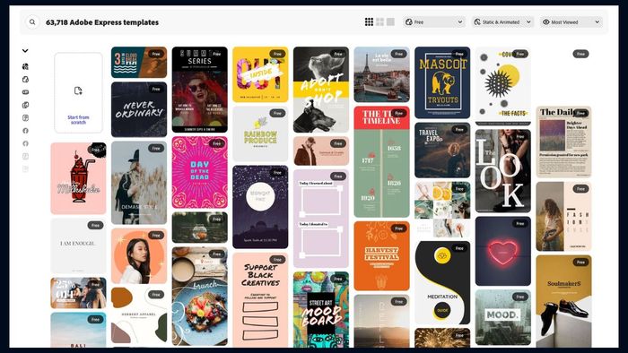 Adobe Express hoàn toàn miễn phí để sử dụng.