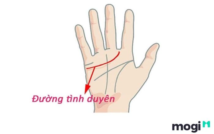 Vị trí của đường tâm đạo khi xem tình duyên