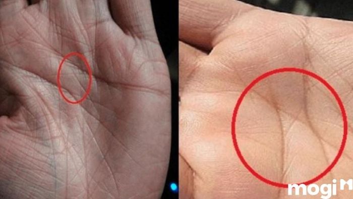 Đánh giá mức độ phức tạp từ các đường chỉ tay