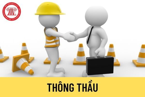 Thông thầu