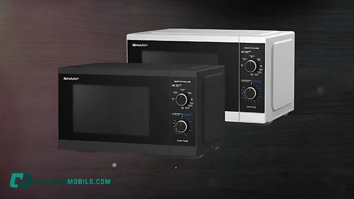 lo-vi-song-sharp-co-nuong-6