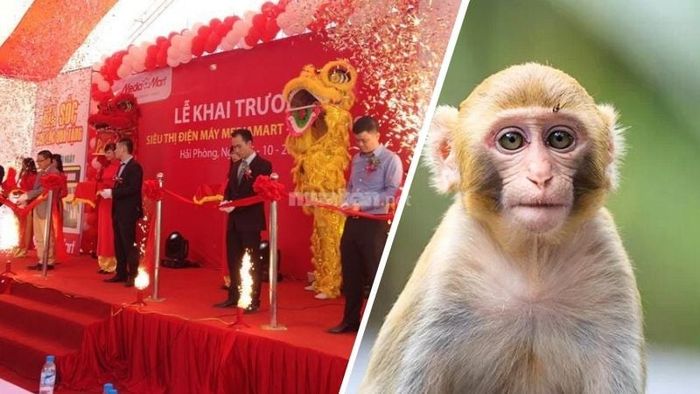 Tuổi Canh Thân 1980