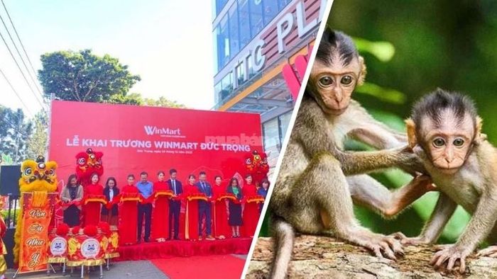 Tuổi Giáp Thân 2004