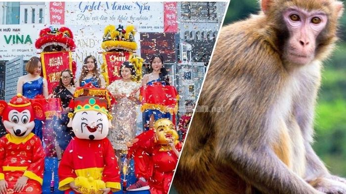 Tuổi Bính Thân sinh năm 1956