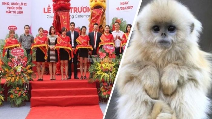 Tuổi Nhâm Thân 1992