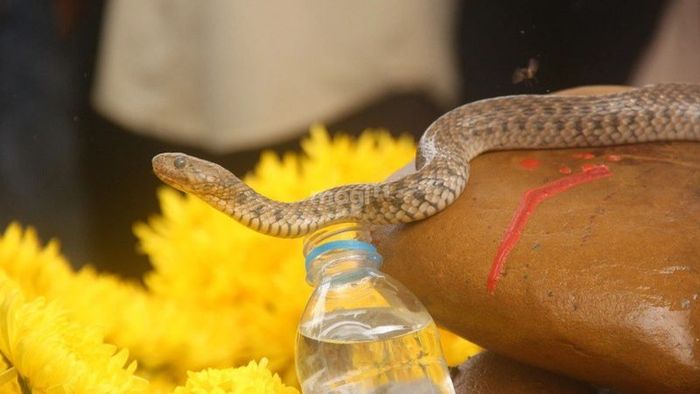 Giải mã chi tiết những giấc mơ thấy mồ mả