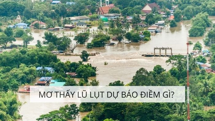 Giấc Mơ Về Lũ Lụt: Dự Báo Tương Lai Hay Sự Cảnh Báo Từ Tiềm Thức?