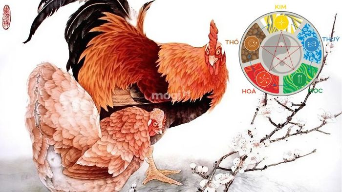 Ngũ hành tuổi Tân Dậu 1981 trong năm 2025 nữ mạng