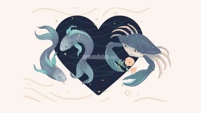 Nam Cự Giải và nữ Song Ngư là cặp đôi lý tưởng trong tình yêu