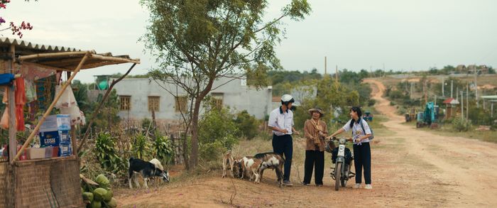 Lật Mặt 8: Vòng Tay Nắng mang đến một thông điệp sâu sắc về tình yêu thương trong gia đình.