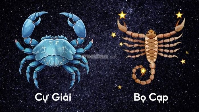 Nếu chưa biết Cự Giải hợp với cung nào trong tình bạn, hãy tìm đến Bọ Cạp để hiểu nhau hơn.