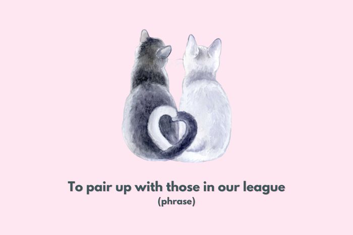 To team up with those who are on our level