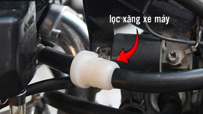 Kiểm tra và thay lọc nhiên liệu