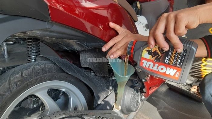 Kiểm tra và thay dầu nhớt