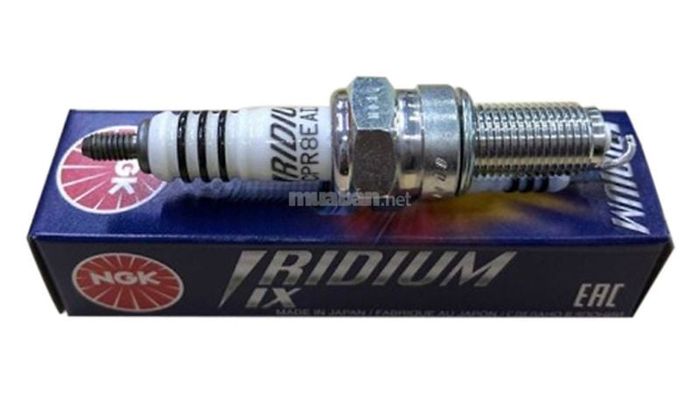 Bugi NGK Iridium CPR8EAIX-9