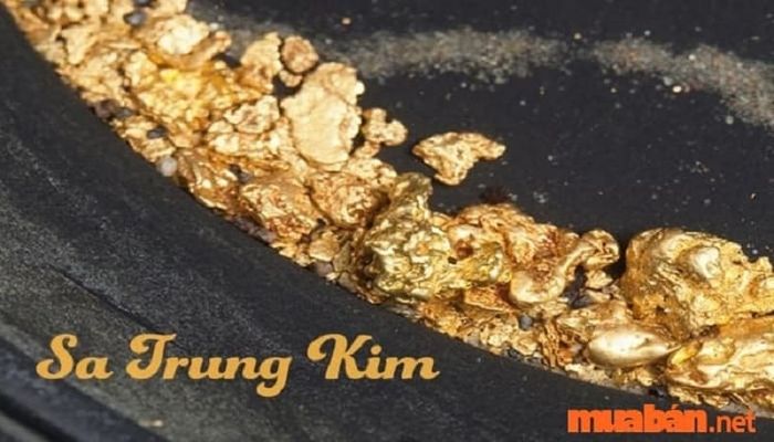 Sa Trung Kim chính là câu trả lời cho thắc mắc 2015 mệnh gì?