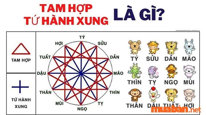 Mệnh của năm 2015 là gì? Những yếu tố tam hợp và tứ hành xung theo Can Chi như thế nào?