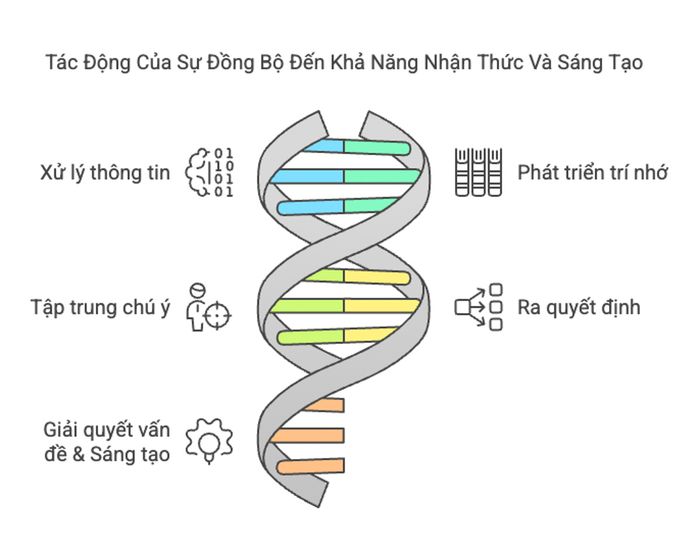 Tác động của sự đồng bộ đối với khả năng nhận thức và nhận diện