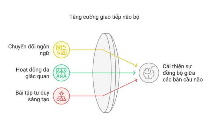 Nâng cao giao tiếp giữa các khu vực não bộ